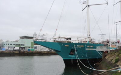 Immersion au sein du premier cargo à voile « ANEMOS » au port de Concarneau, Construction et Réparation Navales